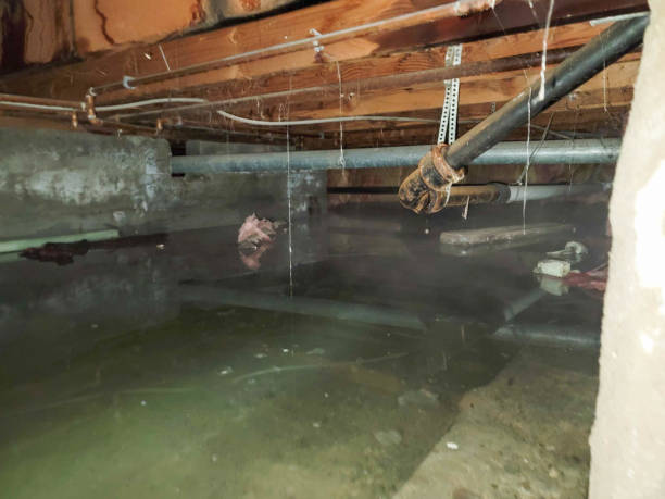 Best 24/7 water damage repair  in Chestnut Ridge, NY