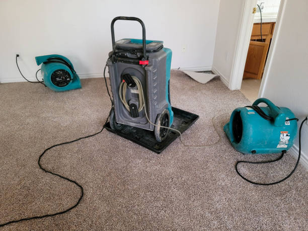 Best Sewage cleanup and water damage restoration  in Chestnut Ridge, NY