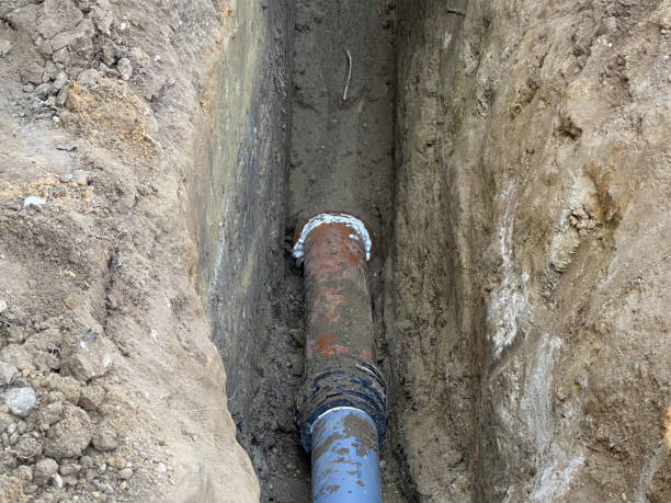 Best Flood damage cleanup  in Chestnut Ridge, NY