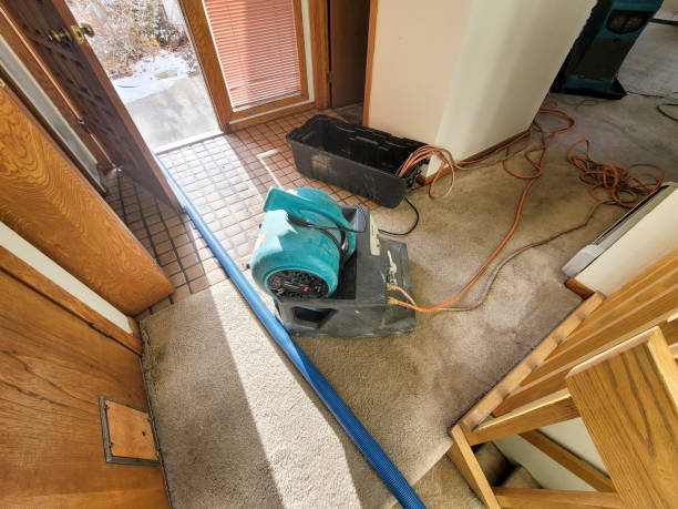 Best Carpet water damage restoration  in Chestnut Ridge, NY