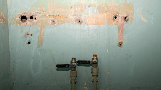 Best Water damage restoration near me  in Chestnut Ridge, NY