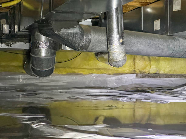 Best Water damage cleanup near me  in Chestnut Ridge, NY