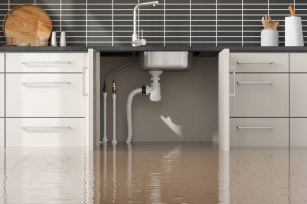 Best Local water damage restoration  in Chestnut Ridge, NY