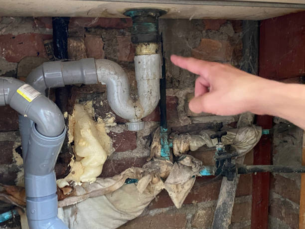 Best Local water damage restoration  in Chestnut Ridge, NY